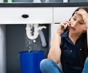 About Emergency plumbing pros Du Pont, GA